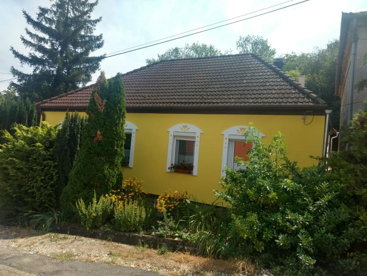 Foki Vendeghaz Villa Hidegseg Dış mekan fotoğraf